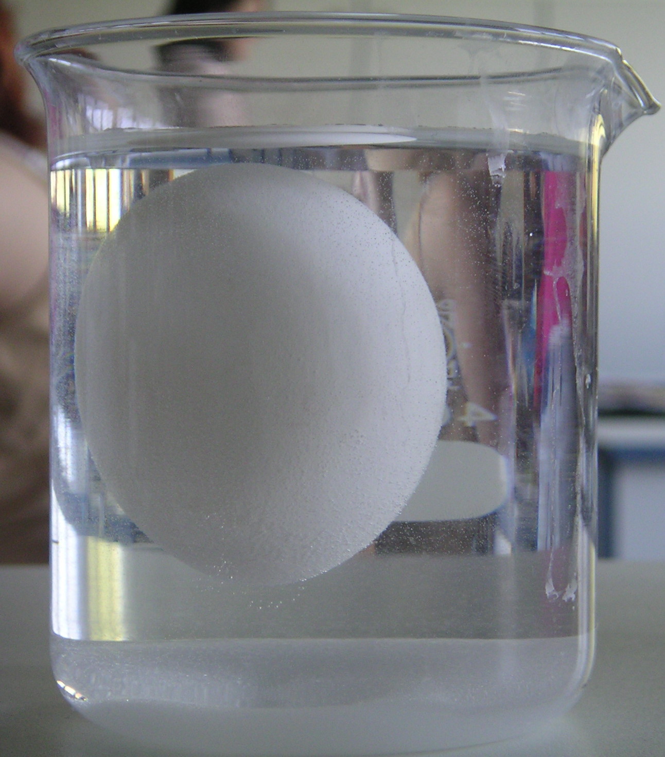 ScienceLab Experiment schwimmendes Ei