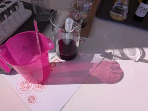 Rotkohlsaft-Experiment